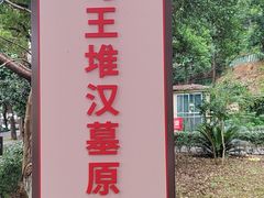-马王堆汉墓遗址