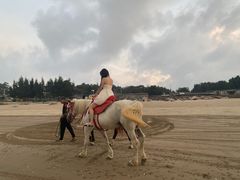 -南澳海滩
