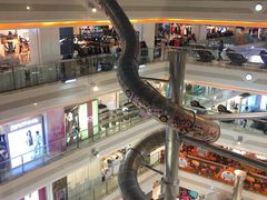 -巴黎春天(浦建店)