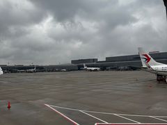 -虹桥机场国航贵宾室v8