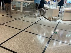 -美罗城