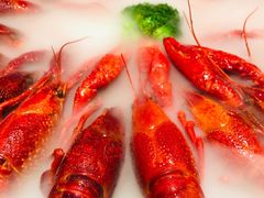-红盔甲·小龙虾(天钥桥店)