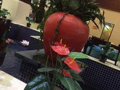 -钓鱼岛洗浴休闲会馆(卫星路店)