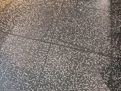 -洪氏嗨捞·猪肚鸡火锅(阳光天地店)