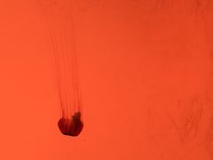 -沈阳海洋探索中心