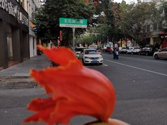 -胡仕光陵水酸粉