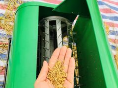 -金色雨林·专注力情商思维感统(海岸城八方汇中心)