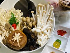 菌类拼盘-洪氏嗨捞·猪肚鸡火锅(阳光天地店)