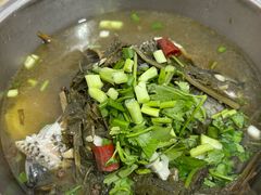 -风鑫铃罗非鱼(道沟店)