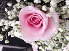 -府学·秋果S酒店(北京南锣鼓巷四合院店)