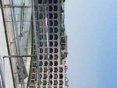 -杭州君悦酒店