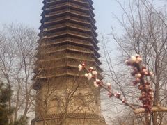 iphone_upload_pic-玲珑塔公园