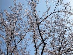 -苏州上方山国家森林公园