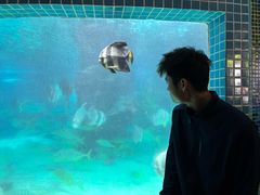 -深圳野生动物园