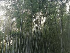 -苏州河梦清园环保主题公园