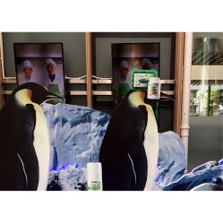 -安利上海体验馆