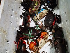 -凤凰路何眼镜香辣蟹(花果园店)