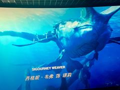 -星河寰宇IMAX影城(星河WORLD·COCO Park店)