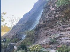 -雅苑中餐厅