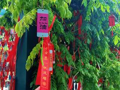 -莲池书院博物馆
