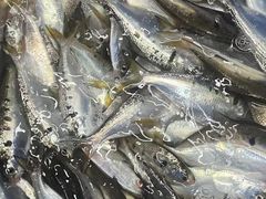 -八仔大富楼·河鲜(西江店)