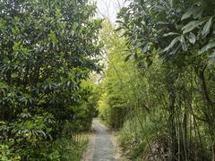 -苏州太湖国家湿地公园