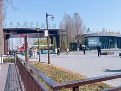 -黄海国家森林公园