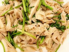 芫爆散丹-燕春楼(海河华鼎店)