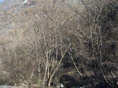 -陕西省红河谷森林公园