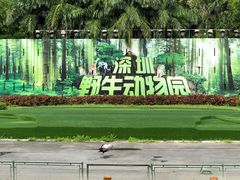 -深圳野生动物园
