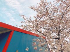 -嘉定紫藤园