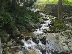 -牛背梁国家森林公园