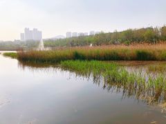 -前关湿地公园