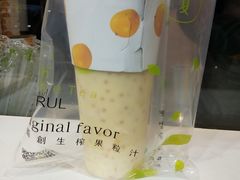 -树夏(建设路店)