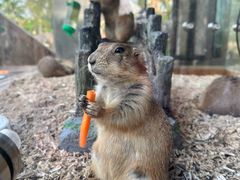 -珠海海泉湾神秘岛亲子乐园