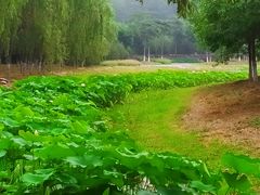 -东郊湿地公园