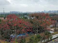 -喜洲吧·江畔老船厂·庭院餐厅(喜临院店)