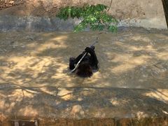 -泉州海丝野生动物世界