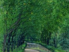 -森林公园(尖草坪区)