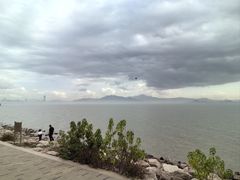 -深圳湾公园(南山区)
