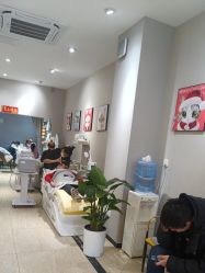 -洗脸猫·洗脸吧