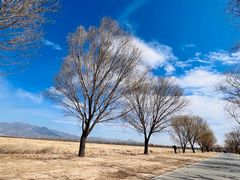-野鸭湖国家湿地公园