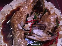 -新疆风味冷水鱼庄(友谊峰路店)