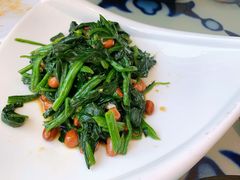 果仁菠菜（美）-撒拉花儿·新疆菜·清真(太阳宫店)