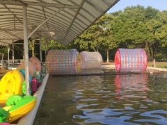 -上海海湾国家森林公园