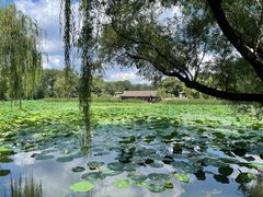 -承德避暑山庄景区