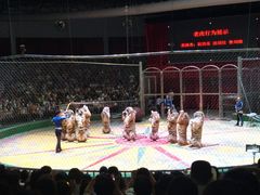 -西安秦岭野生动物园