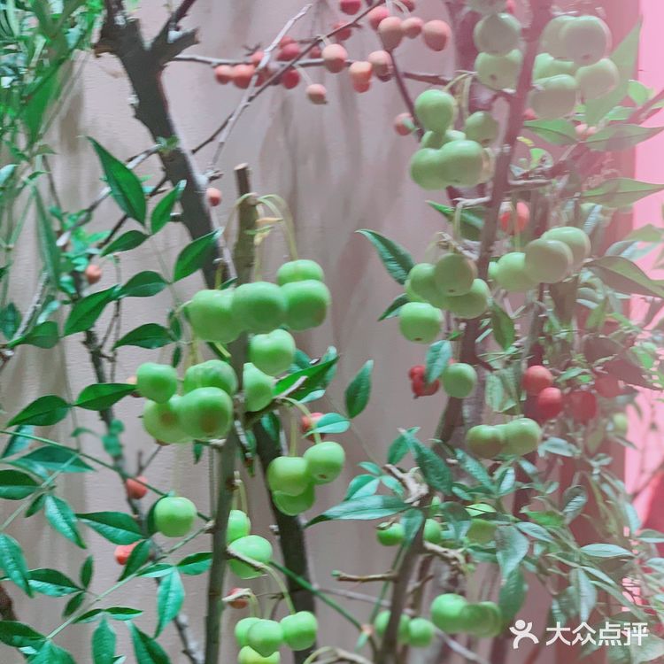 野兽派不止卖花｜国产潮流居家品牌