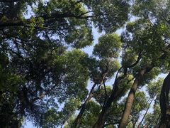 -东湖落雁景区
