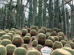 -南山植物园